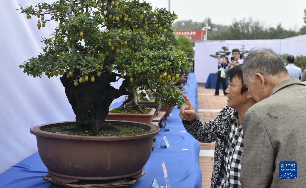 果敢老街华纳国际
